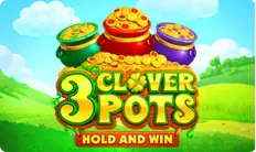 3 Clover Pots 3 Clover Pots