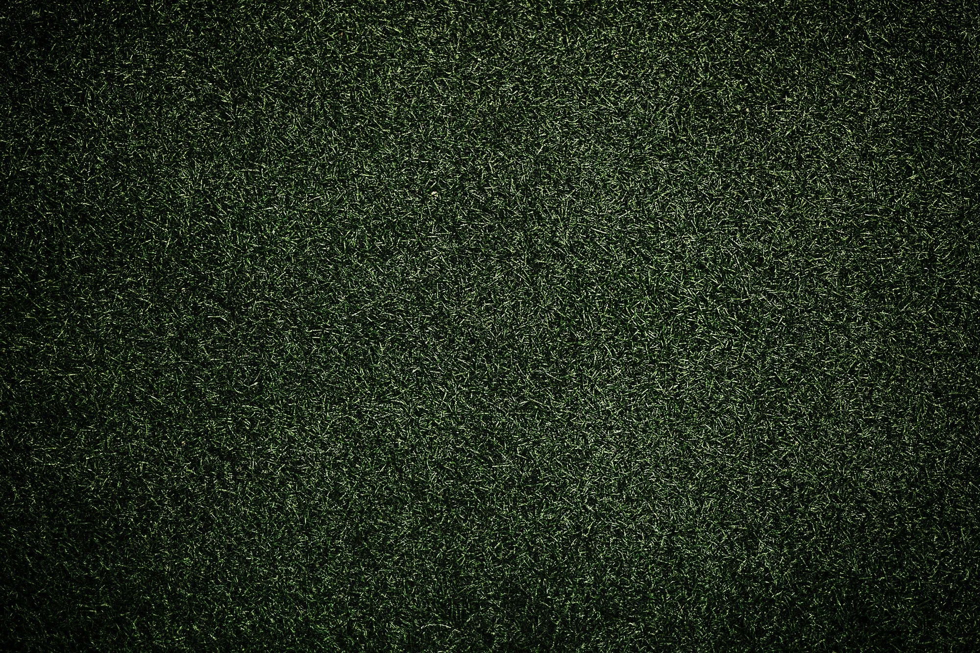 22Bet: Trusted Sportsbook with Fast Payouts in New Zealand 22Bet: Trusted Sportsbook with Fast Payouts in New Zealand